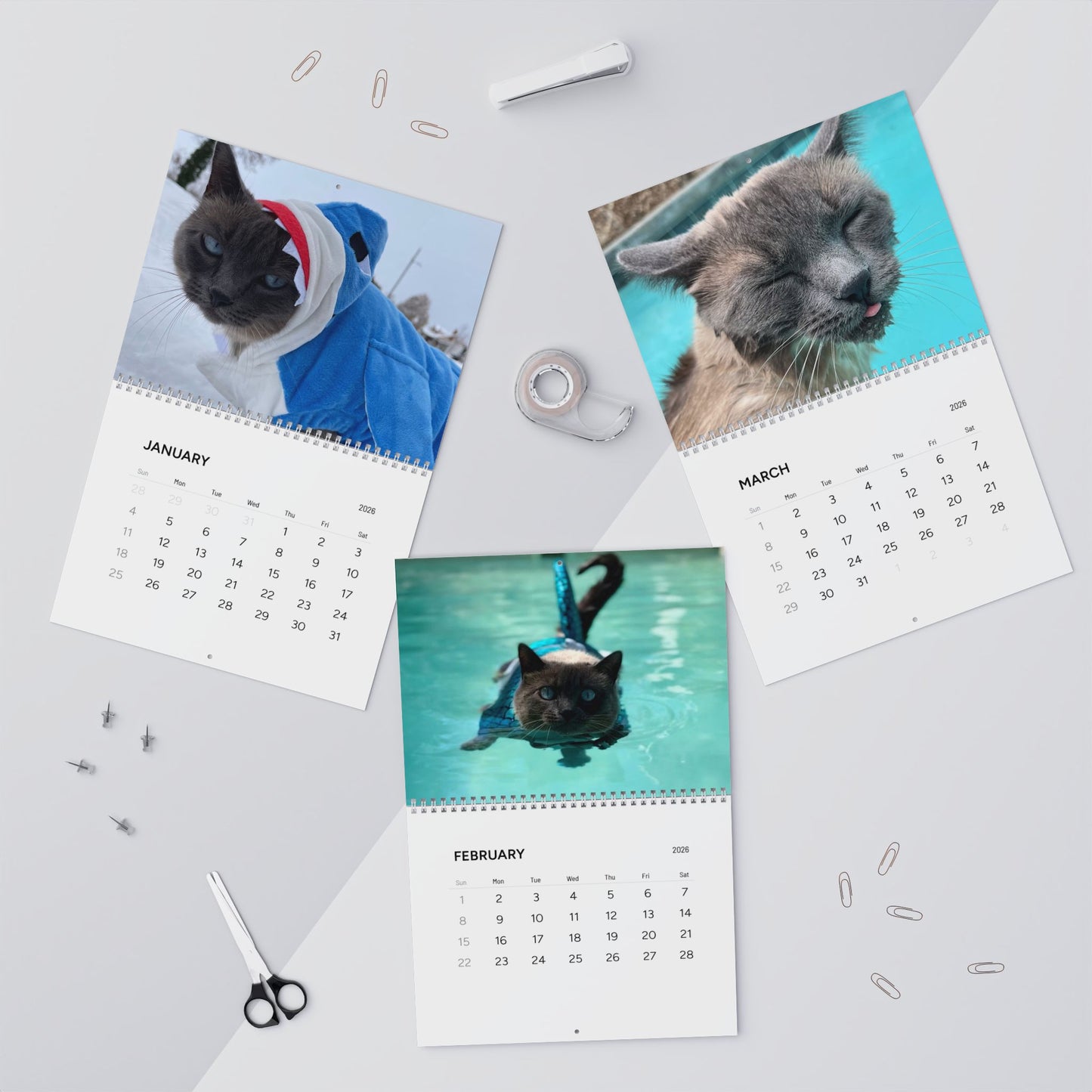 Sharkitty 2026 Wall Calendar