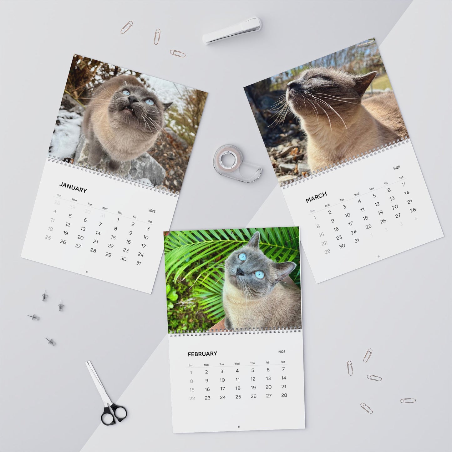 Hester is Not a Cat Wall Calendar (2026)