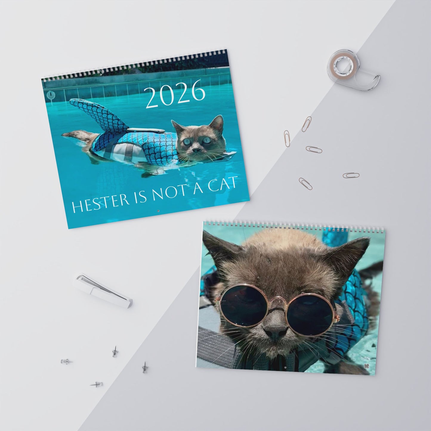 Hester is Not a Cat Wall Calendar (2026)