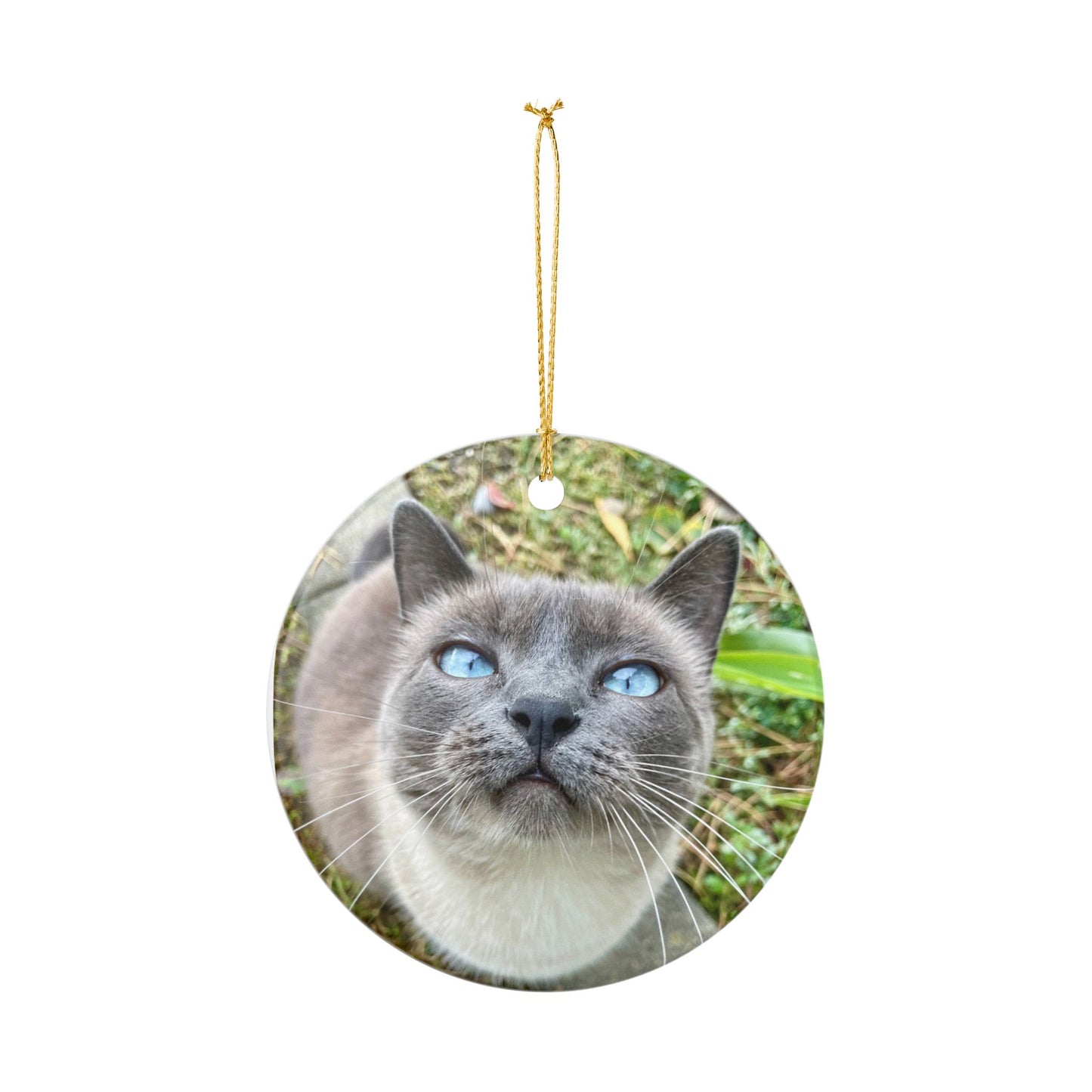 Hester is Not a Cat Ceramic Ornament