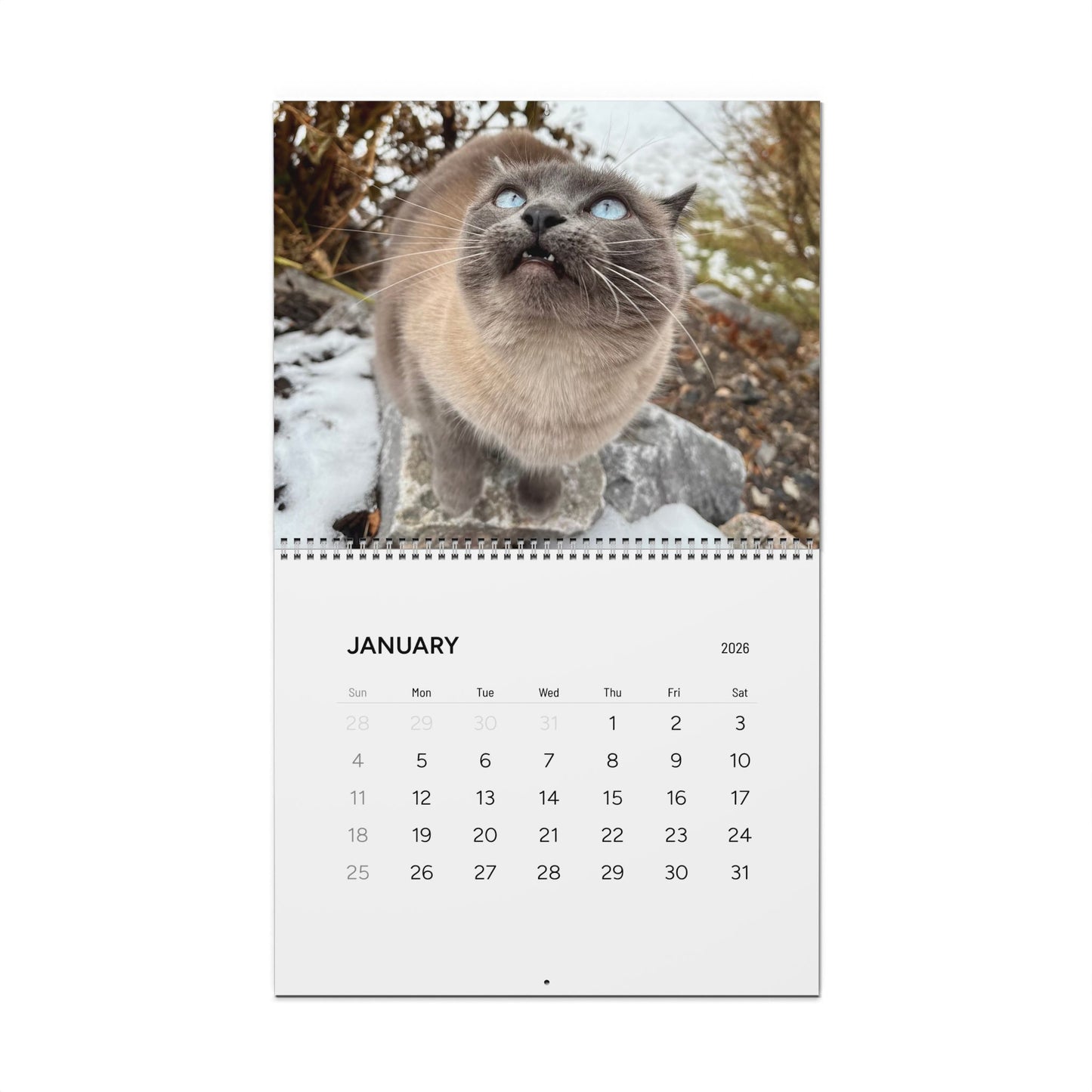 Hester is Not a Cat Wall Calendar (2026)