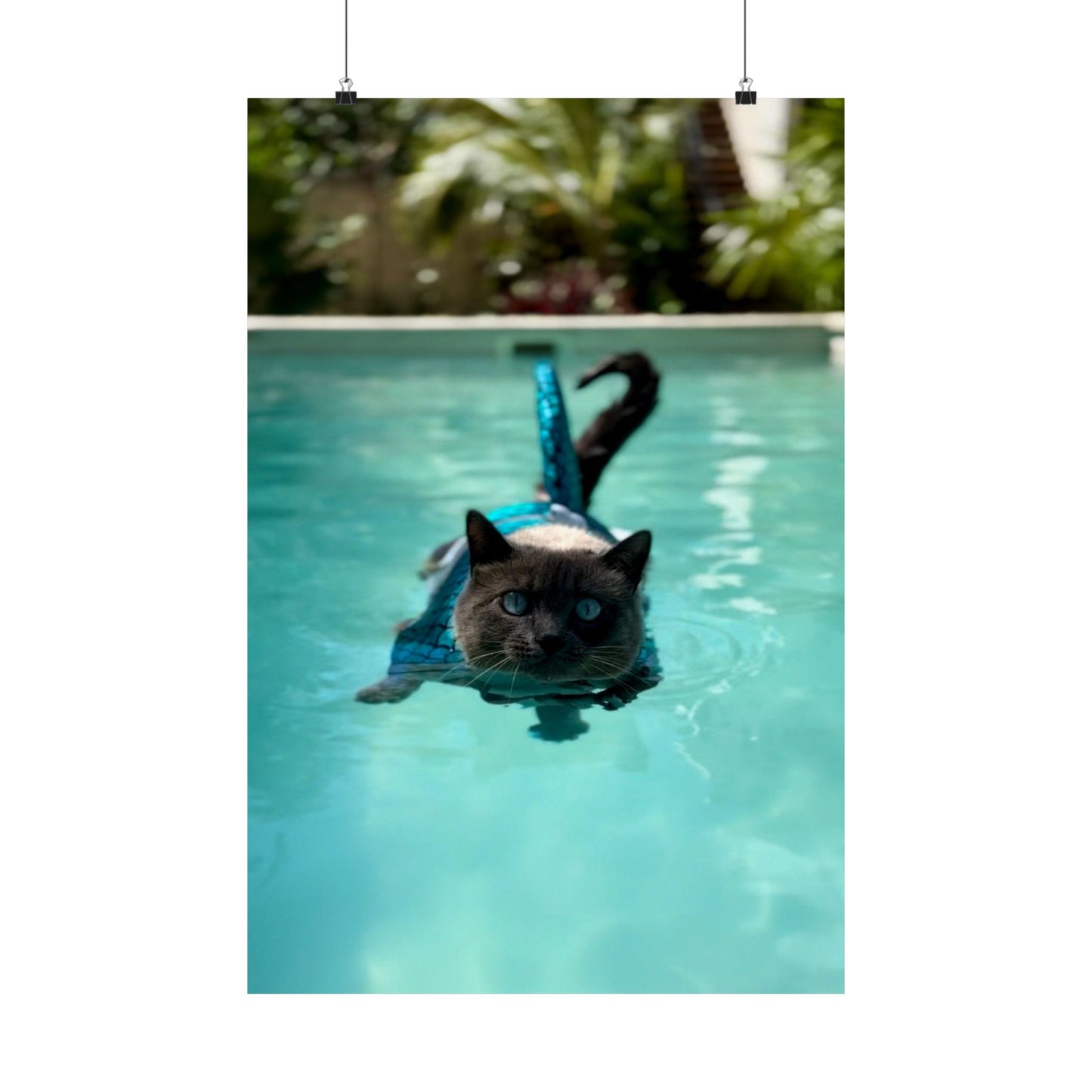 Sharkitty Takes Mexico Matte Vertical Wall Print