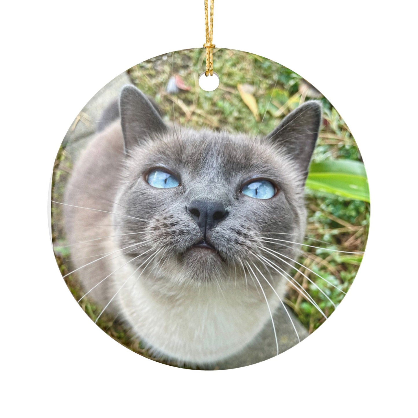 Hester is Not a Cat Ceramic Ornament