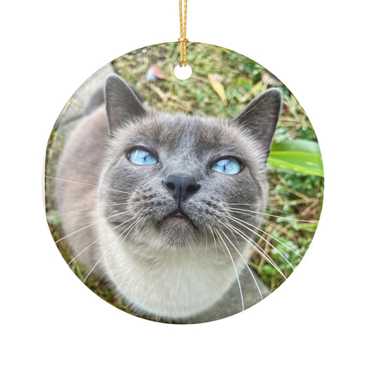 Hester is Not a Cat Ceramic Ornament