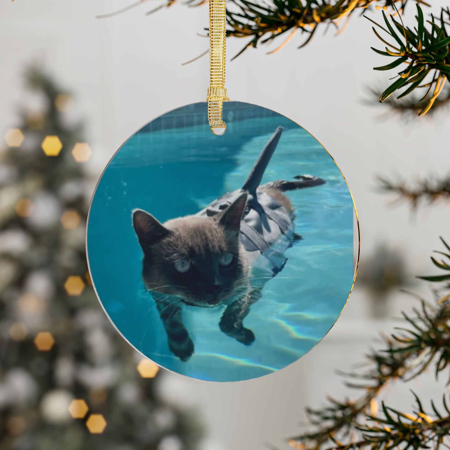 Swimming Sharkitty Cat Acrylic Ornament | Round Pet Photo Keepsake