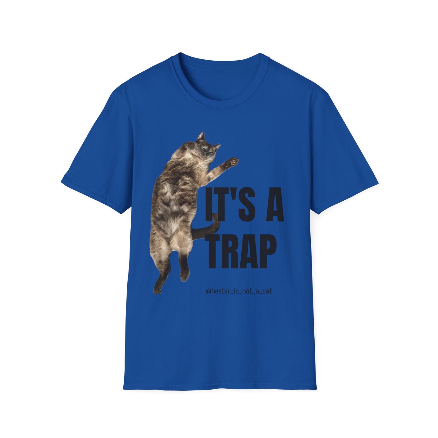 Hester’s Tummy is a Trap Graphic Tee