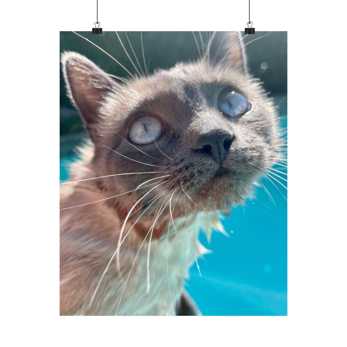 Splashy Hester Close-Up Matte Vertical Print