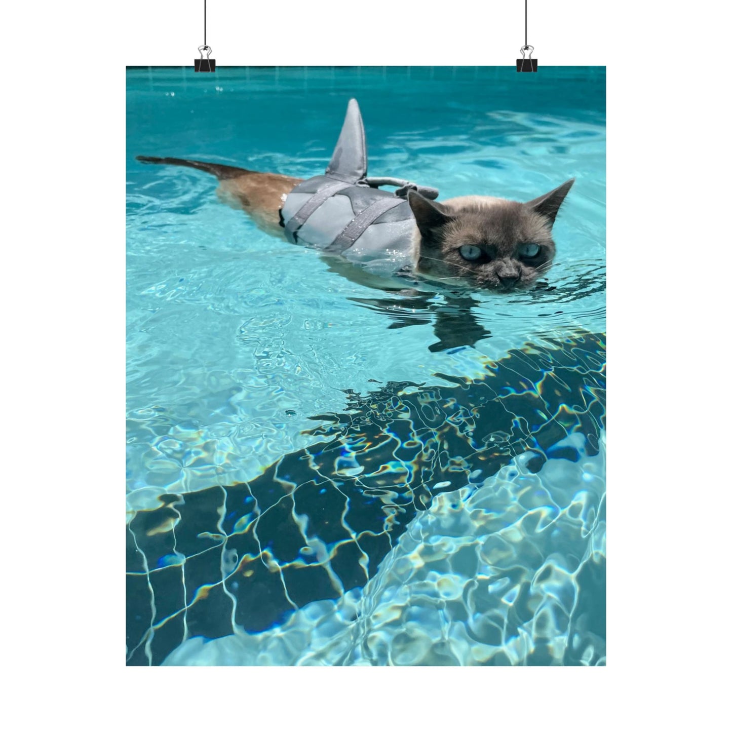 Scrunchie-Nose Sharkitty Matte Vertical Print