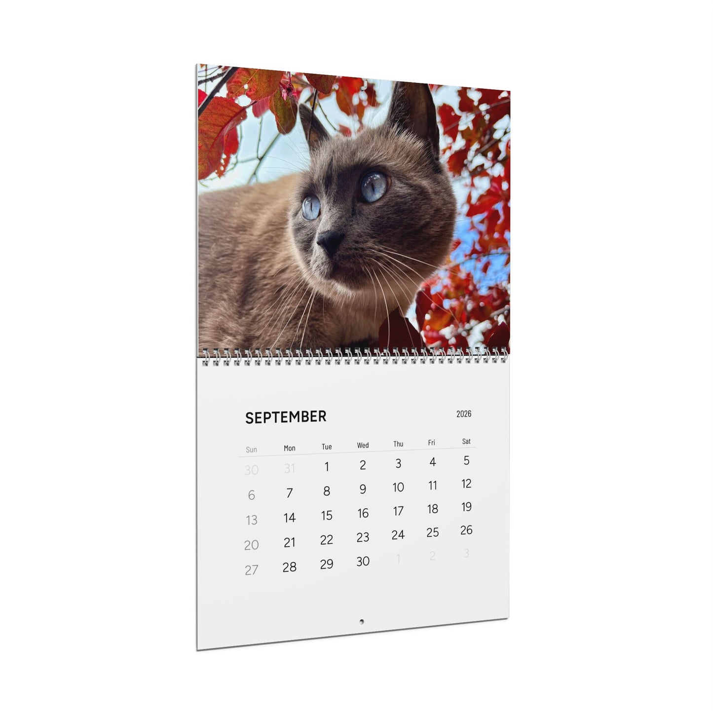 Hester is Not a Cat Wall Calendar (2026)