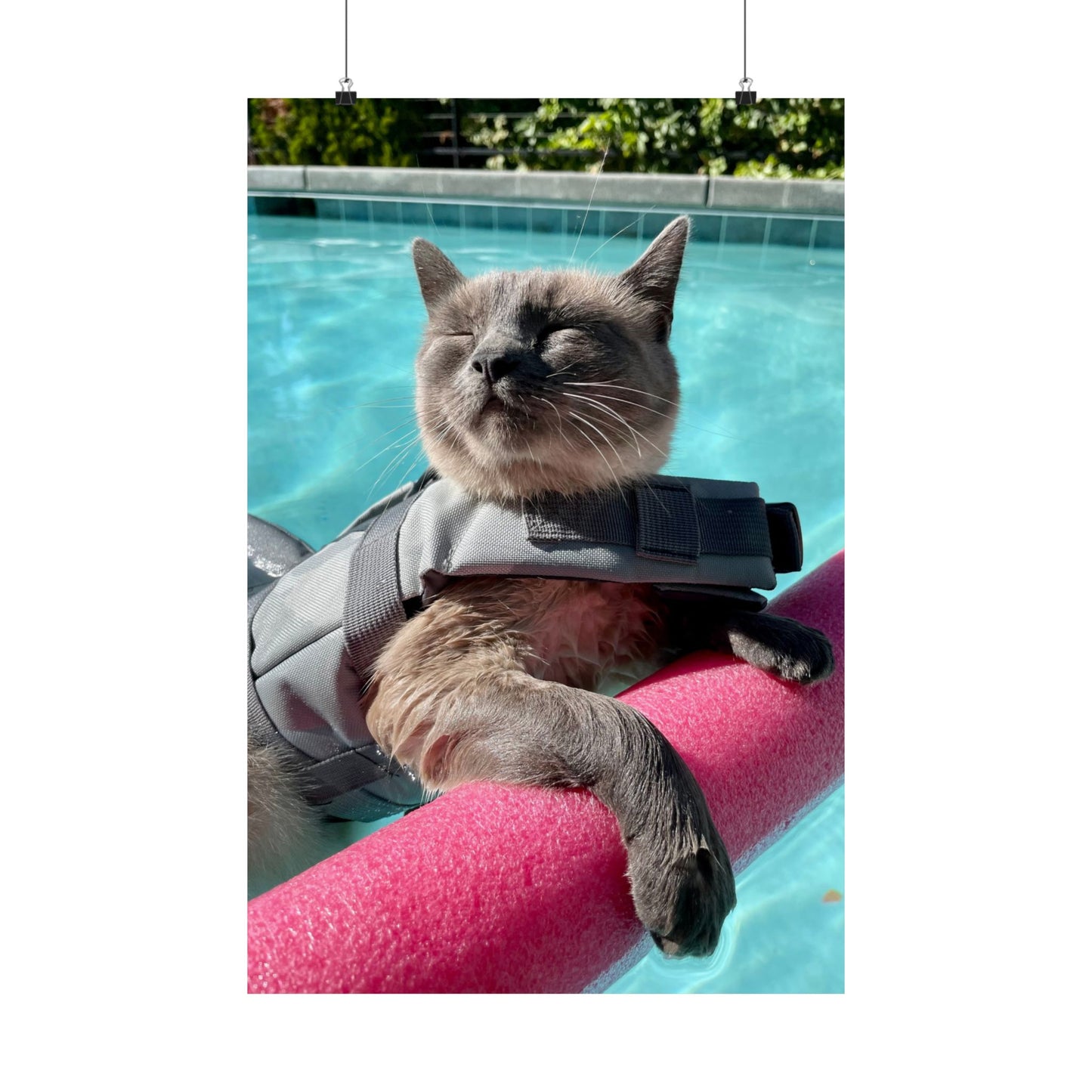 Sharkitty & Her Noodle Matte Vertical Print