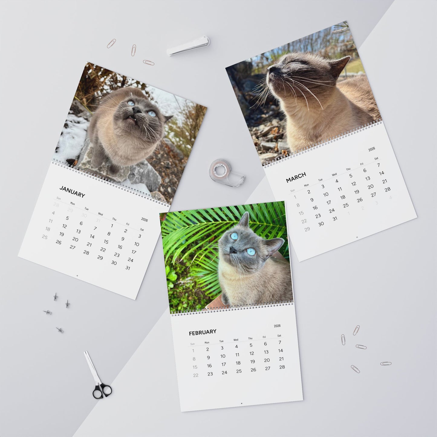 Hester is Not a Cat Wall Calendar (2026)