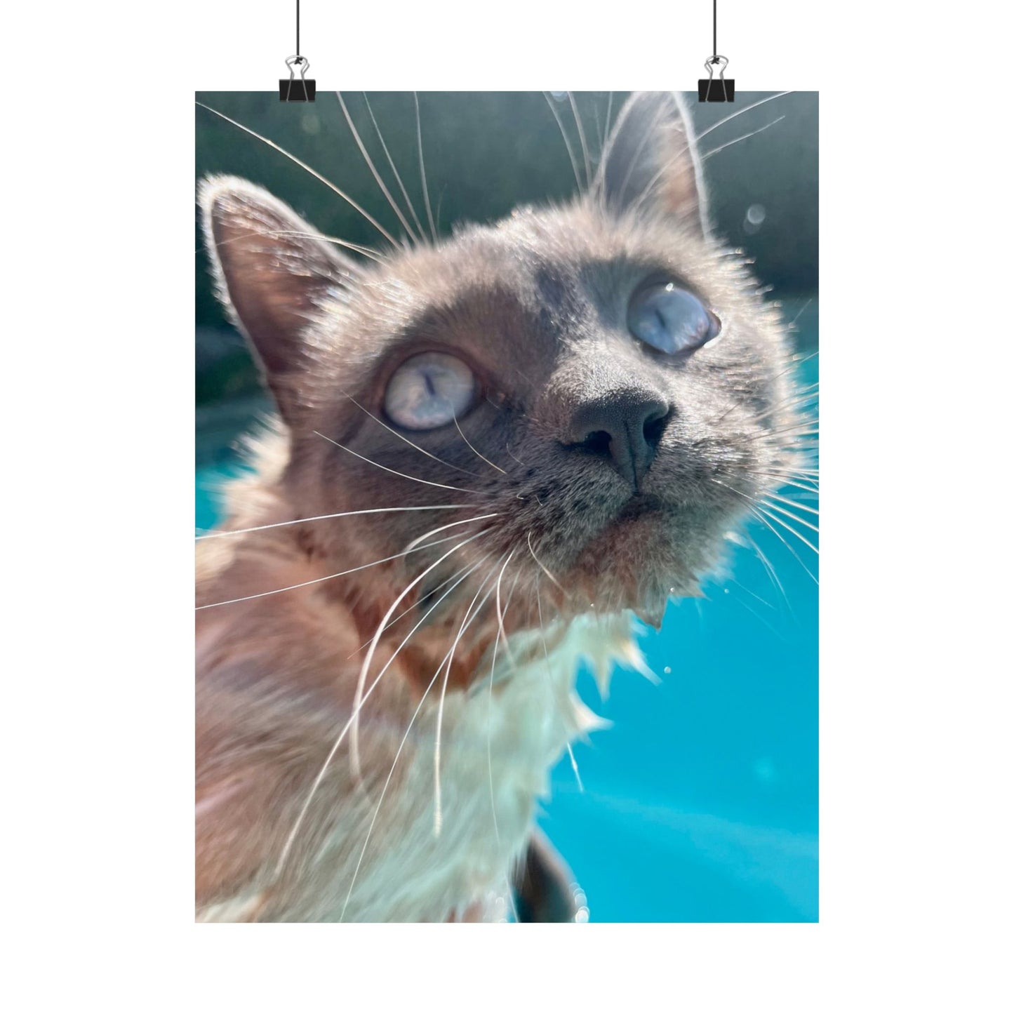 Splashy Hester Close-Up Matte Vertical Print