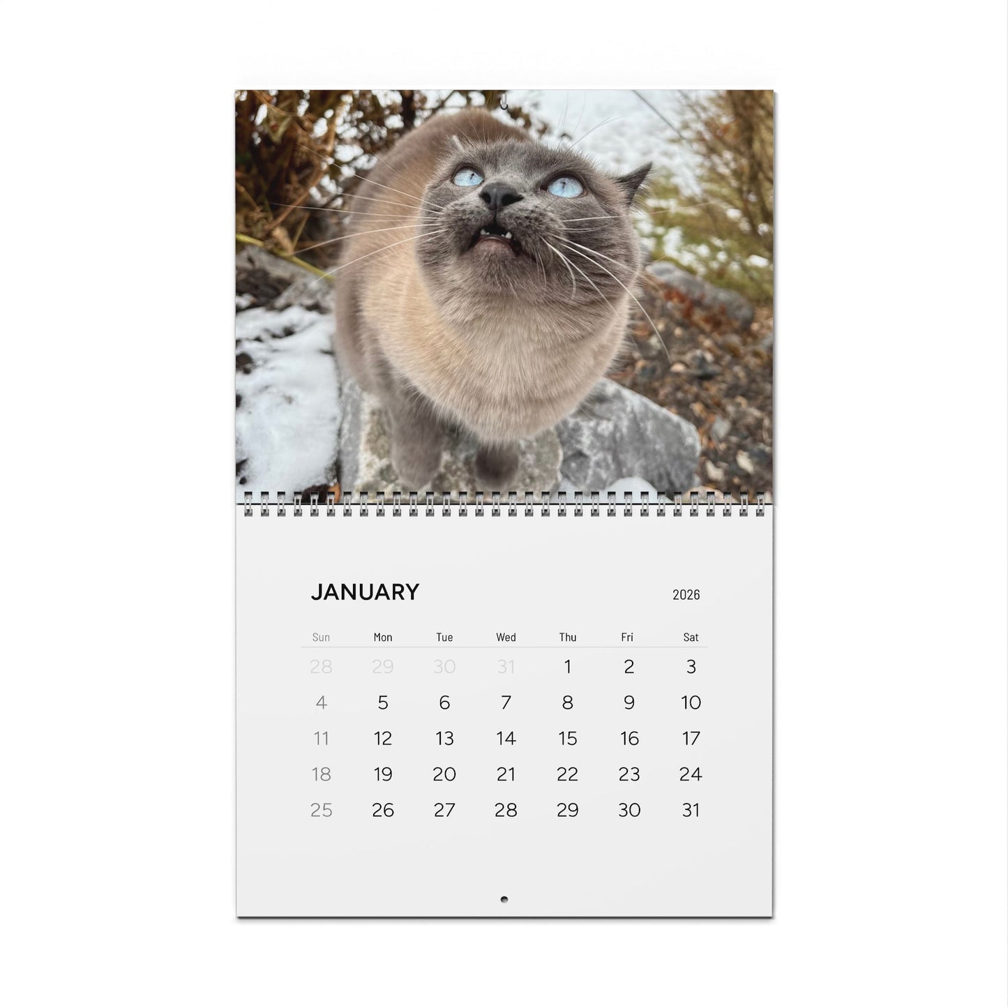 Hester is Not a Cat Wall Calendar (2026)