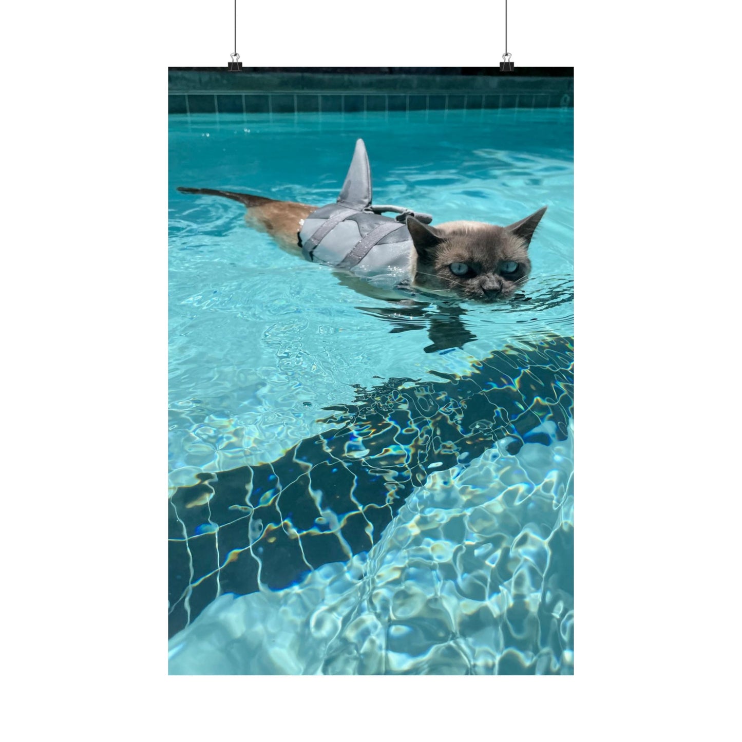 Scrunchie-Nose Sharkitty Matte Vertical Print