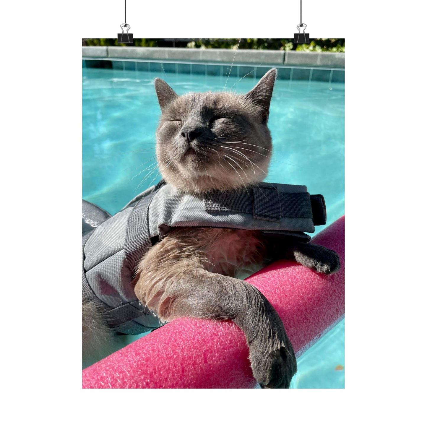 Sharkitty & Her Noodle Matte Vertical Print