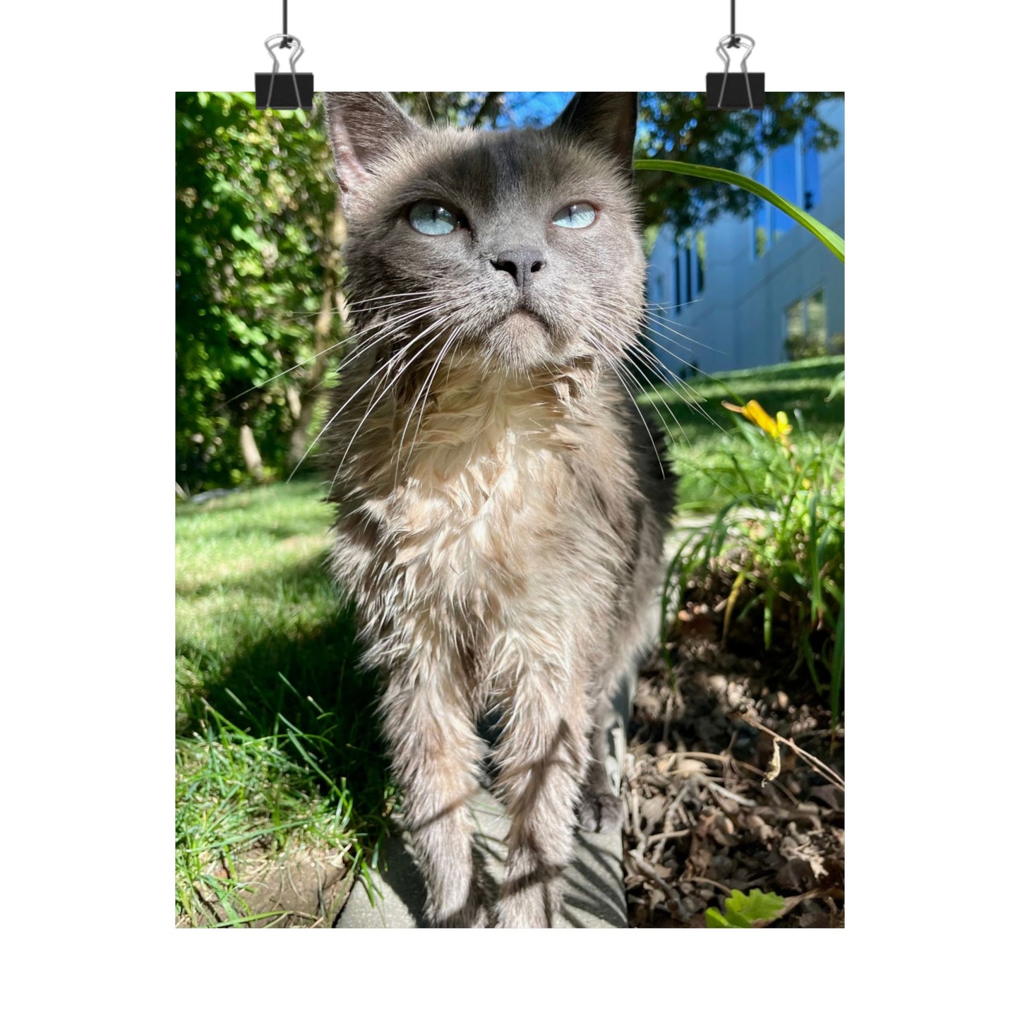 Chupacabra Hetty Matte Vertical Print