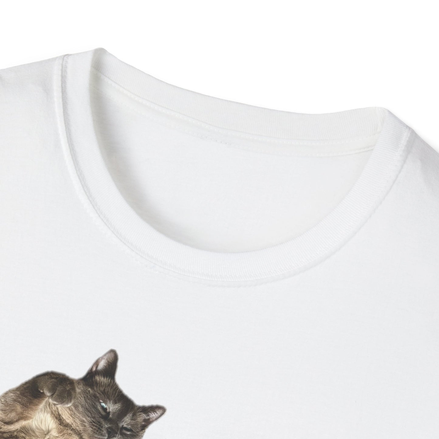 Hester’s Tummy is a Trap Graphic Tee