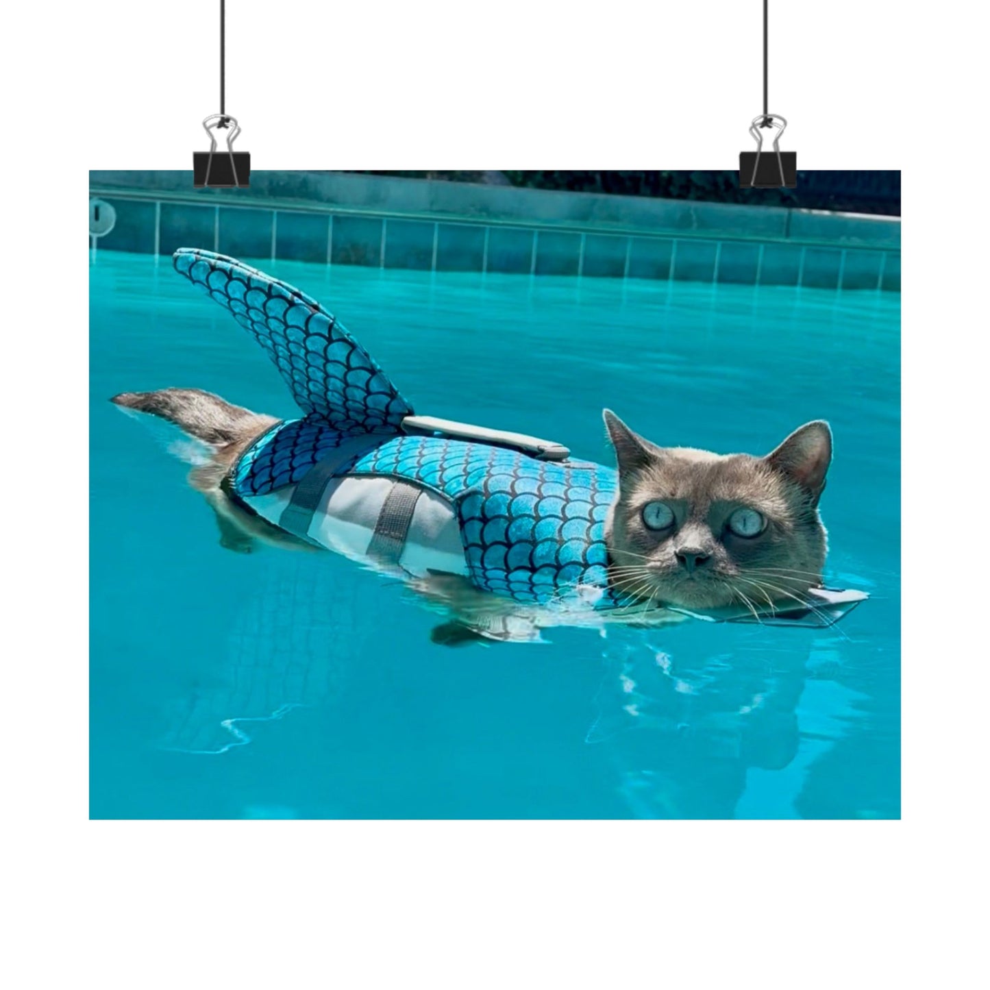 Merkitty Matte Horizontal Print