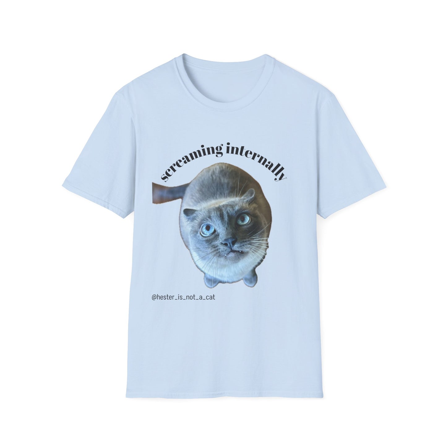 Screaming Internally Hetty T-Shirt