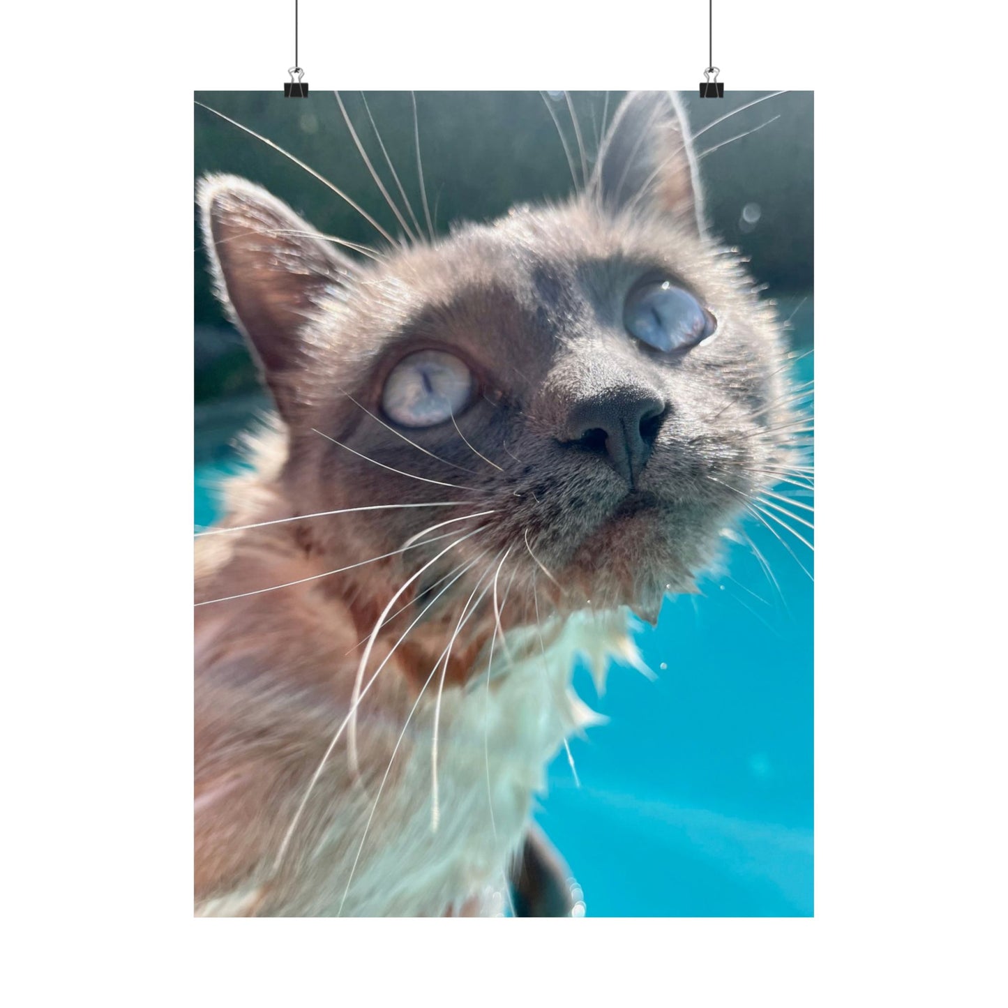 Splashy Hester Close-Up Matte Vertical Print