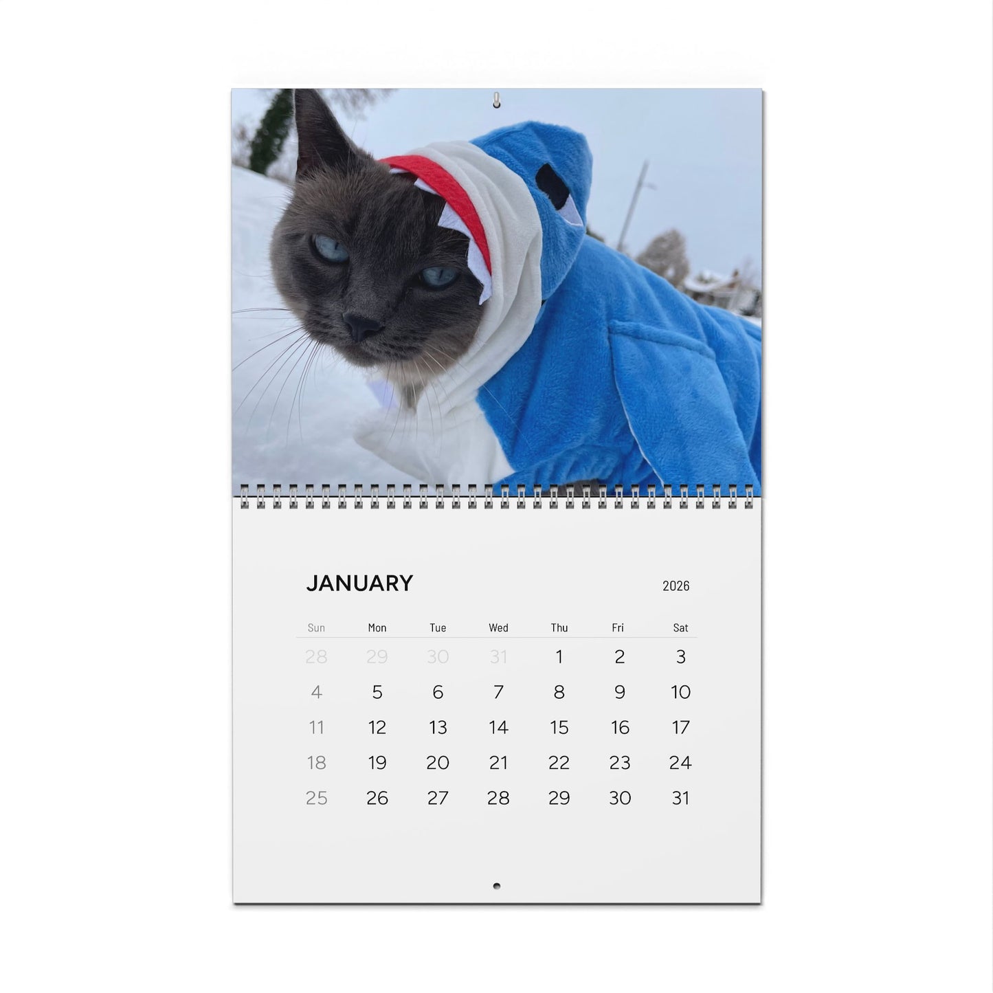 Sharkitty 2026 Wall Calendar