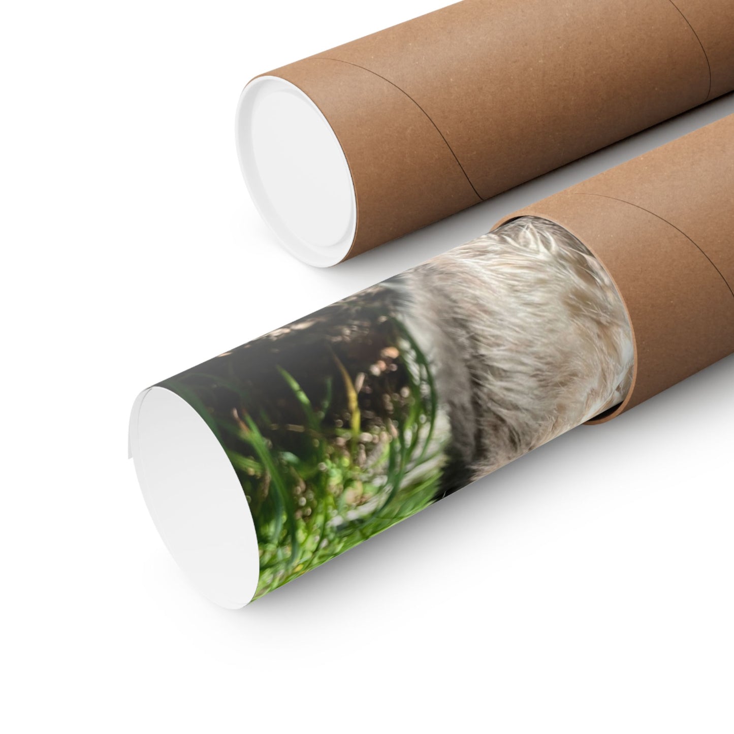 Chupacabra Hetty Matte Vertical Print