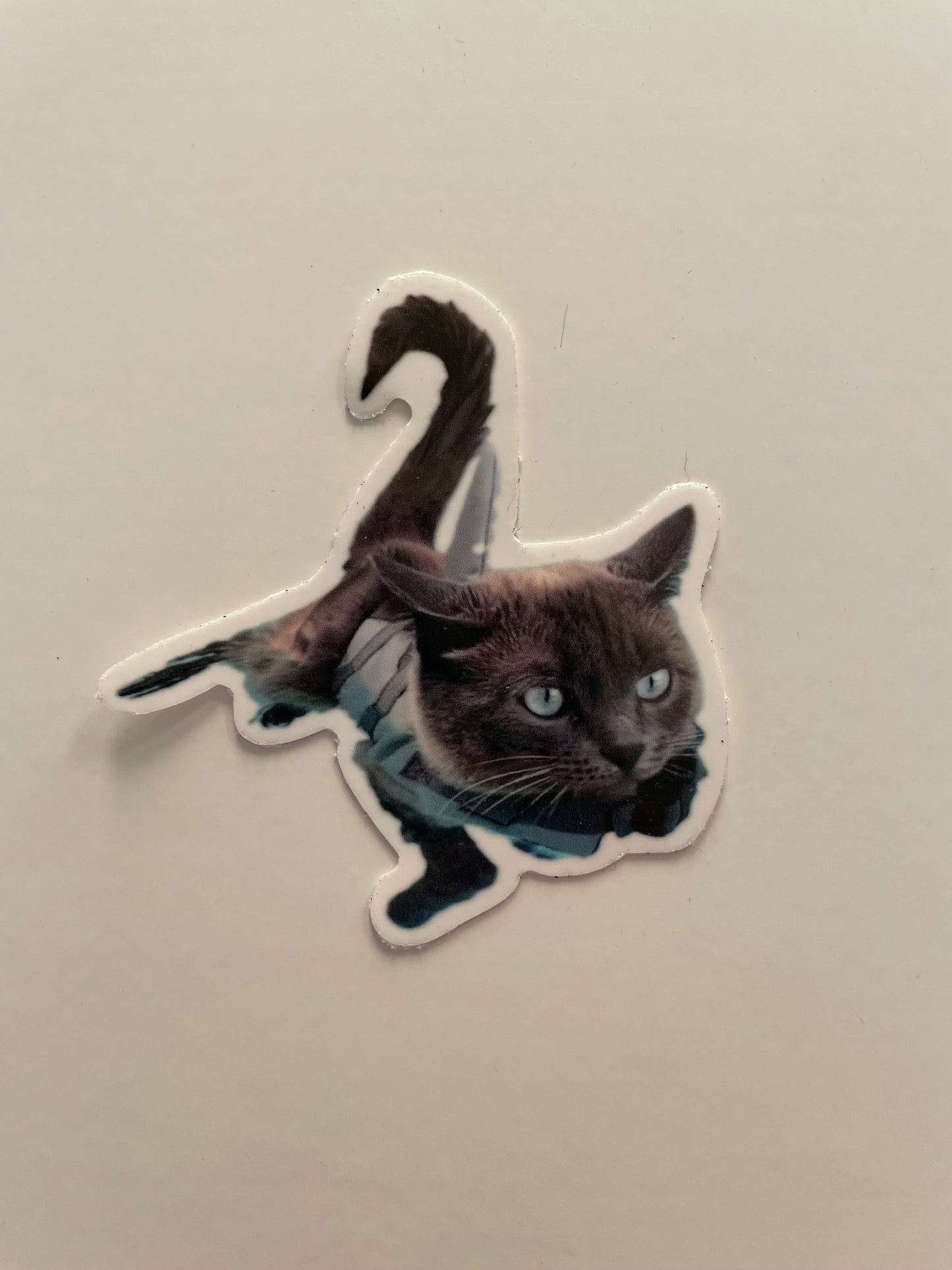 Sharkitty Sticker 3”