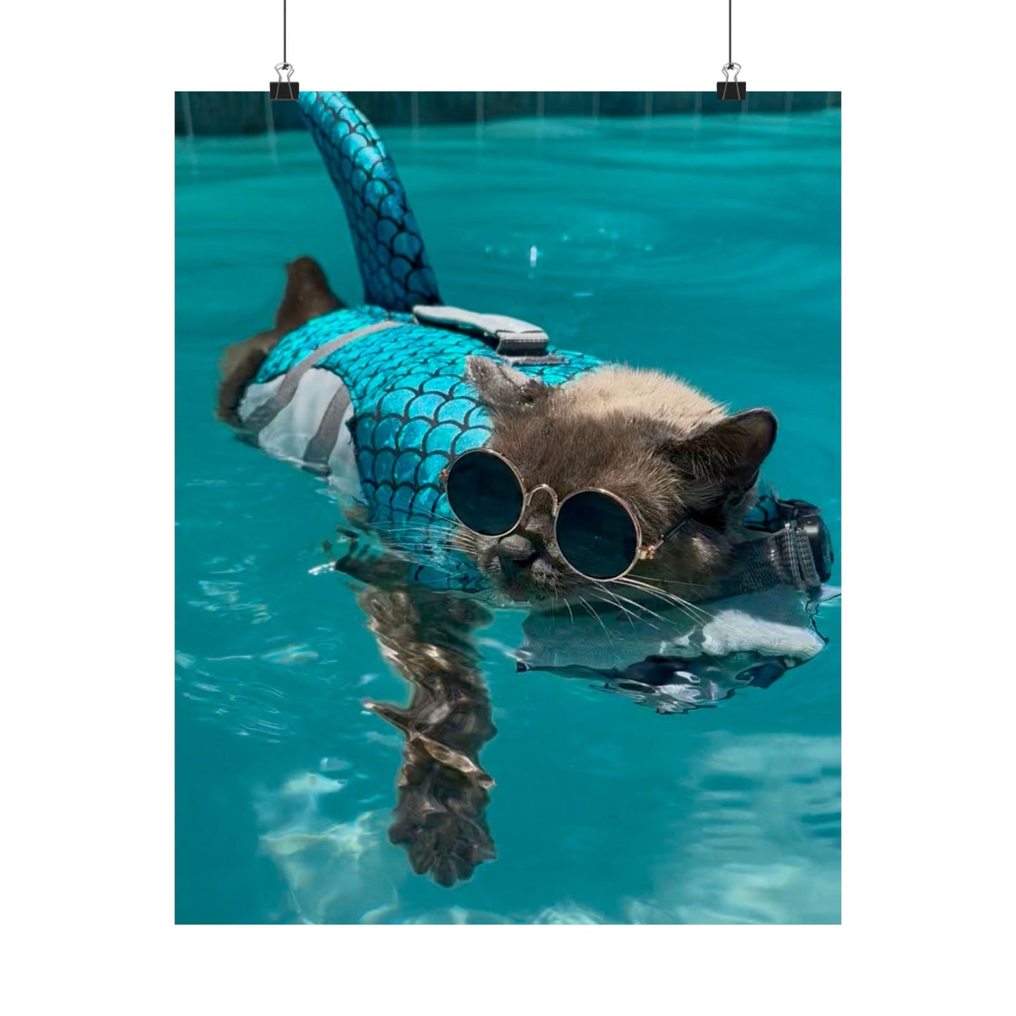 Cool Sharkitty Matte Vertical Print