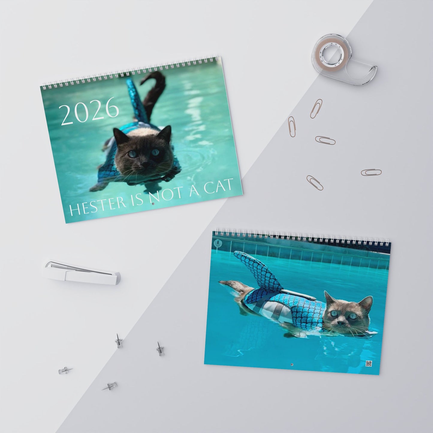 Sharkitty 2026 Wall Calendar