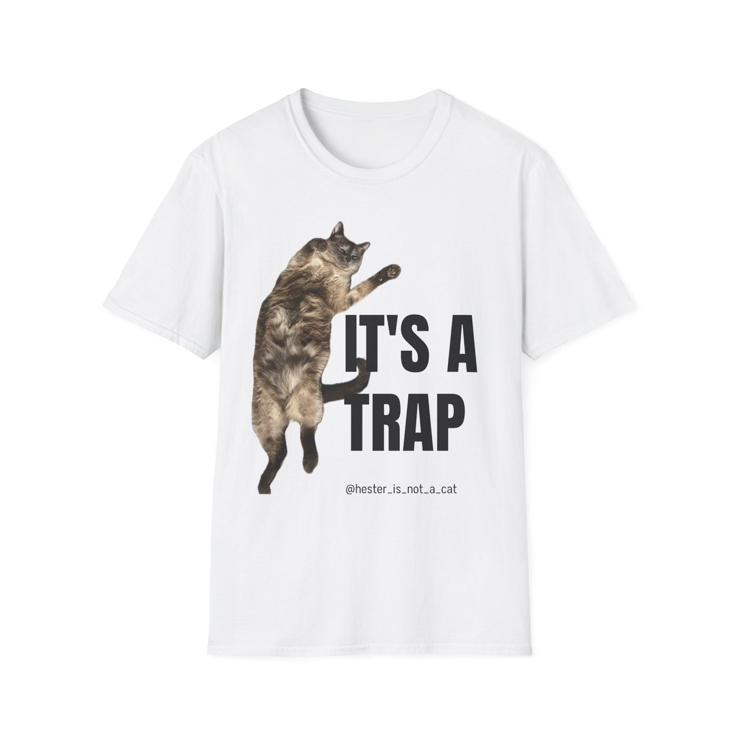 Hester’s Tummy is a Trap Graphic Tee