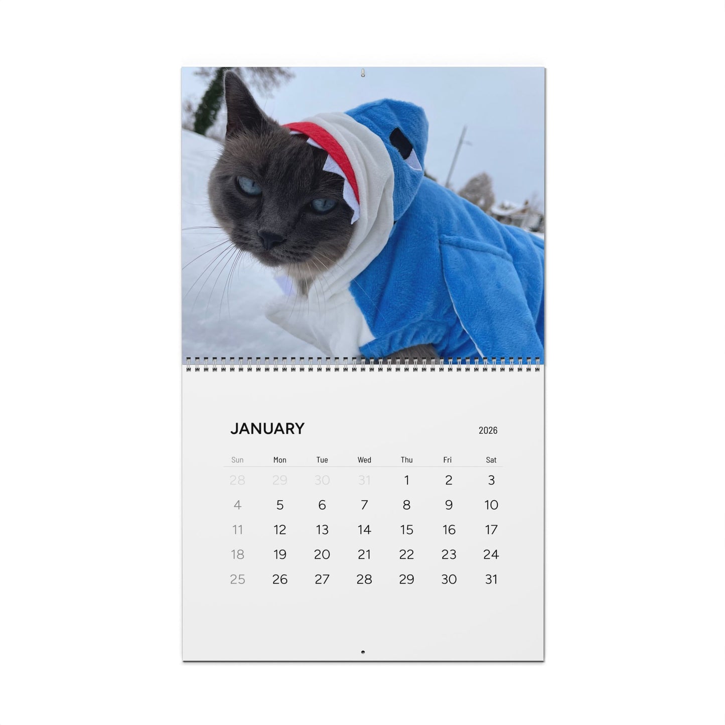 Sharkitty 2026 Wall Calendar