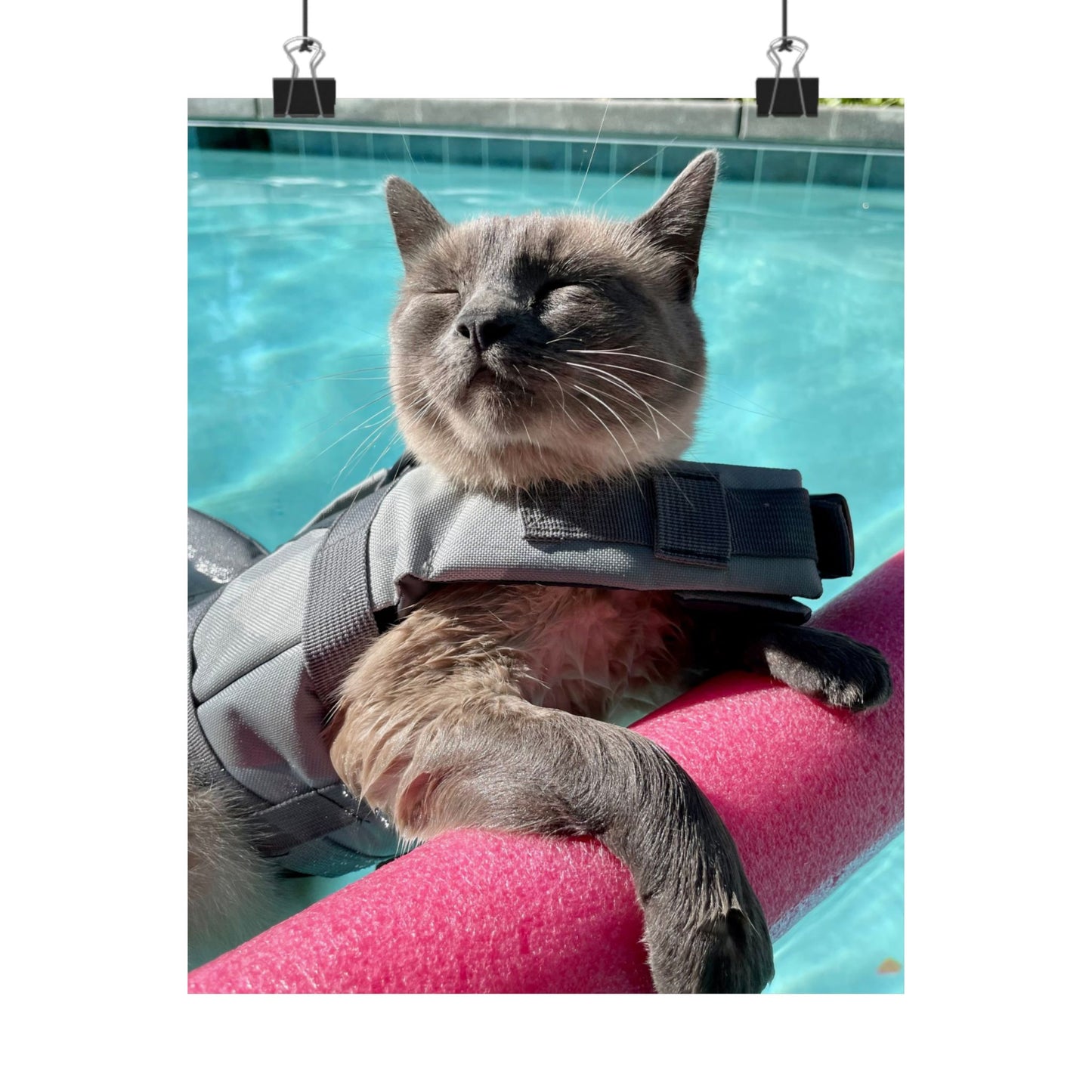 Sharkitty & Her Noodle Matte Vertical Print