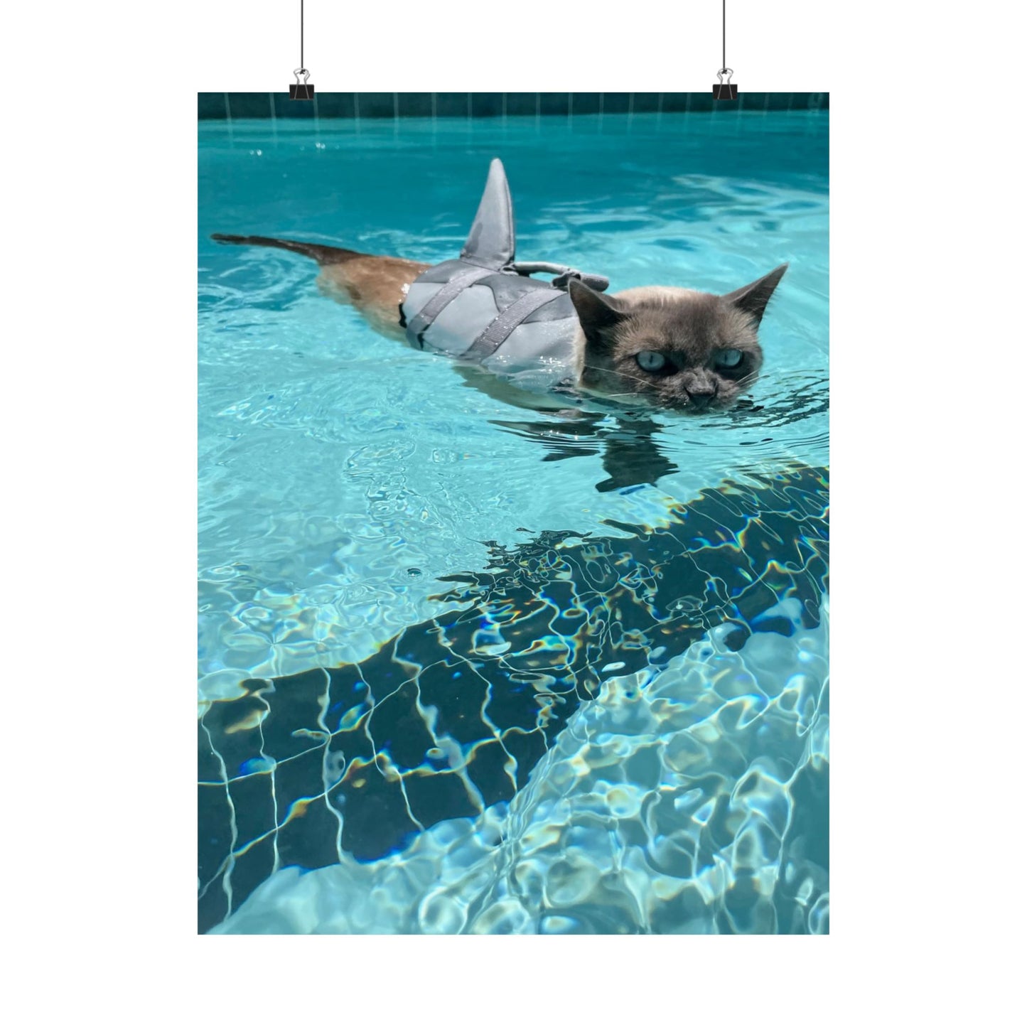 Scrunchie-Nose Sharkitty Matte Vertical Print