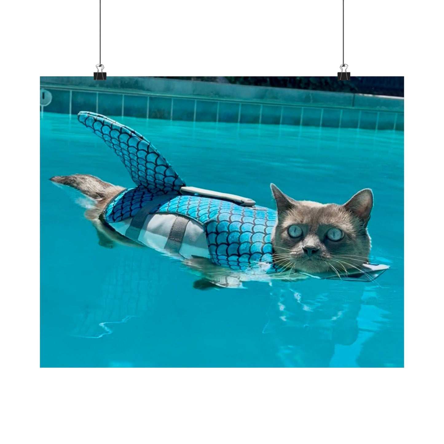 Merkitty Matte Horizontal Print