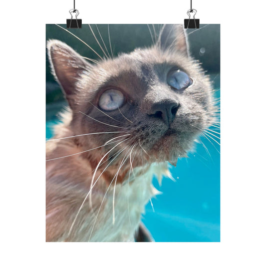 Splashy Hester Close-Up Matte Vertical Print