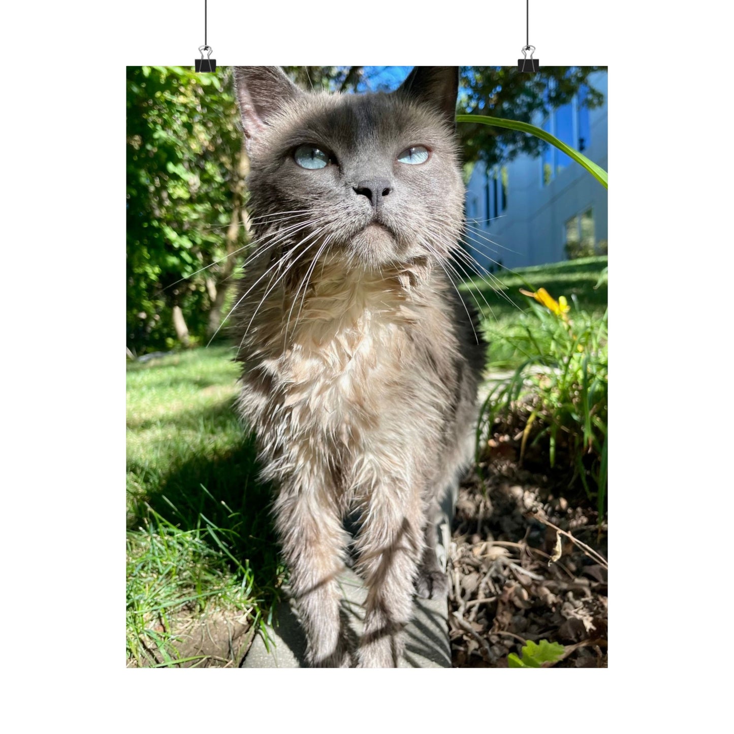 Chupacabra Hetty Matte Vertical Print