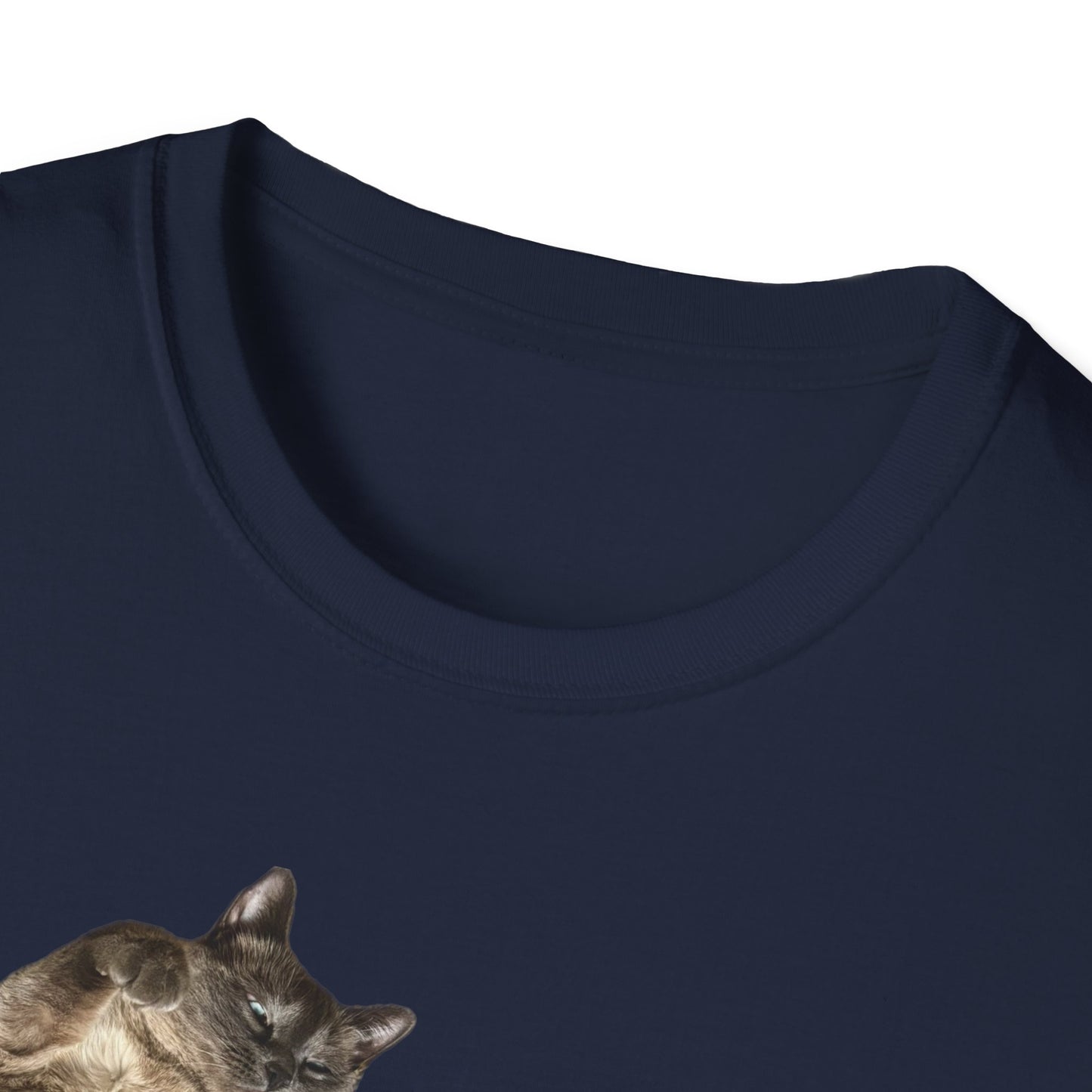 Hester’s Tummy is a Trap Graphic Tee