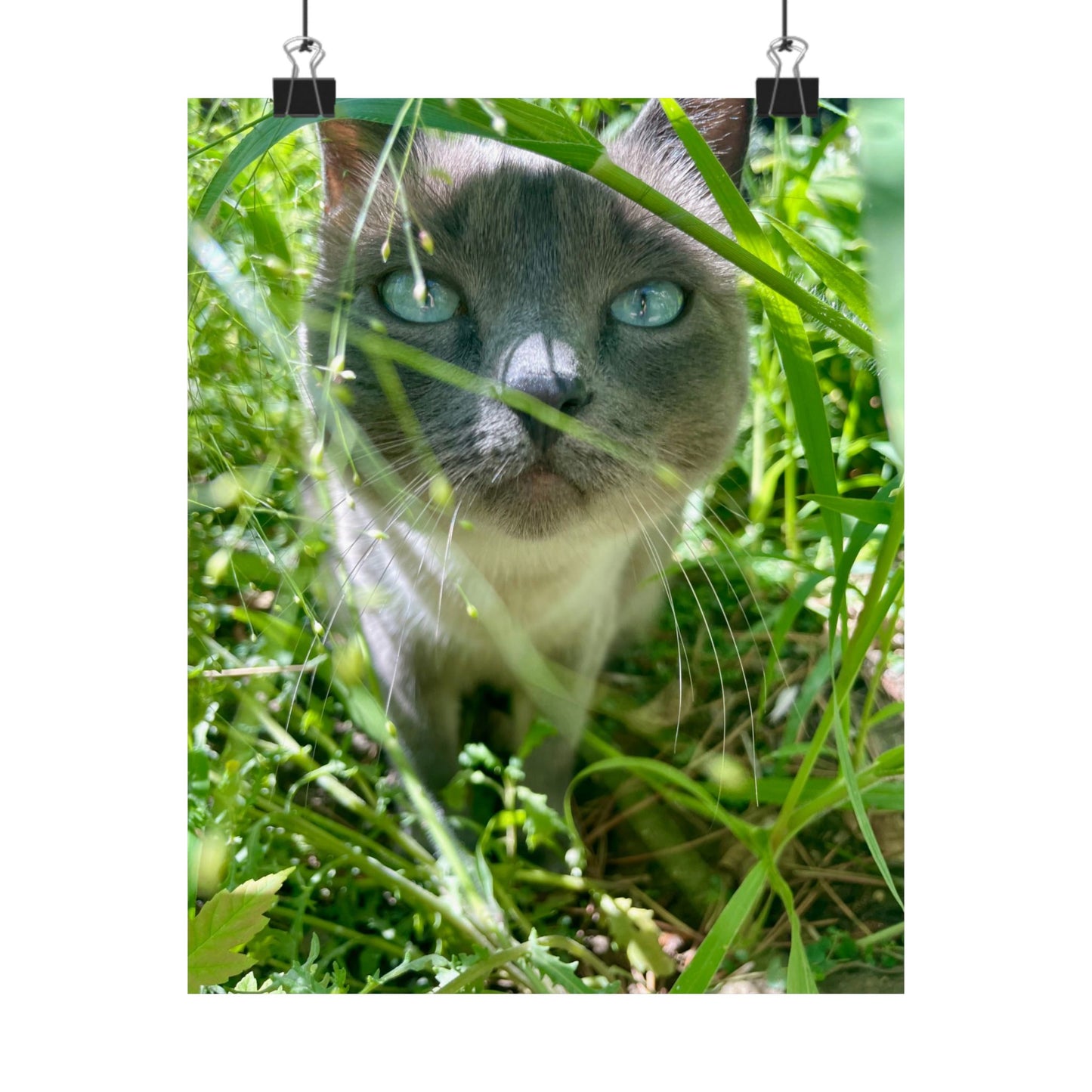 Hester Hide-and-Seek Matte Poster