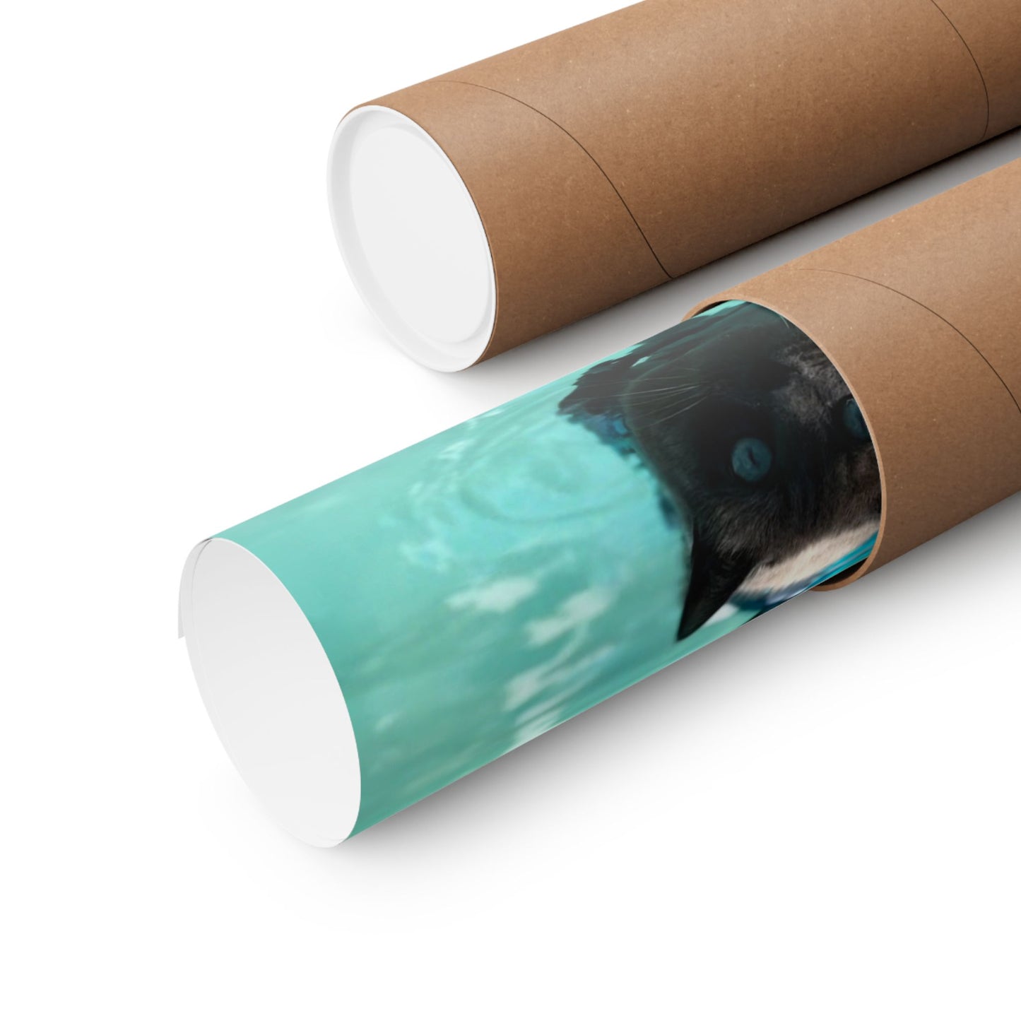 Sharkitty Takes Mexico Matte Vertical Wall Print