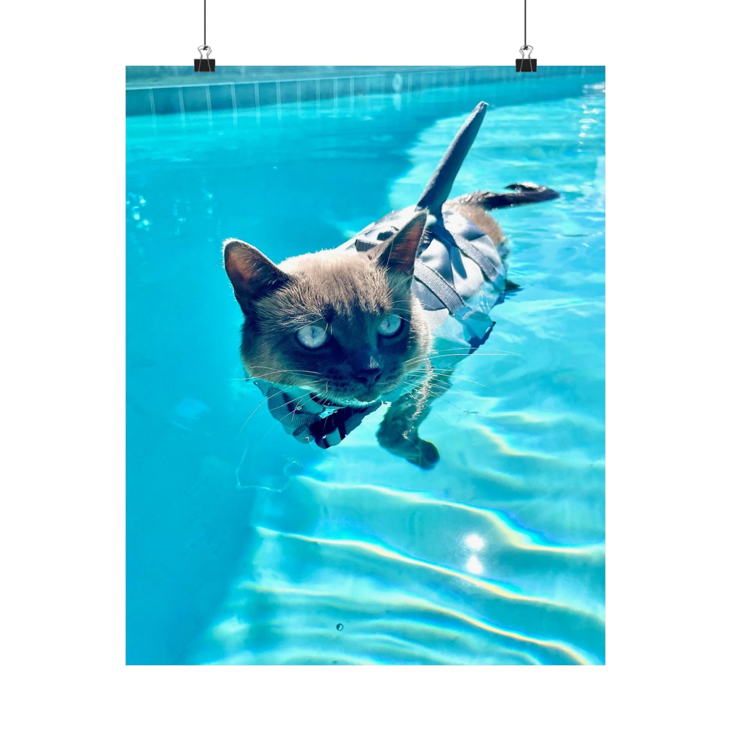 Sharkitty Matte Vertical Print