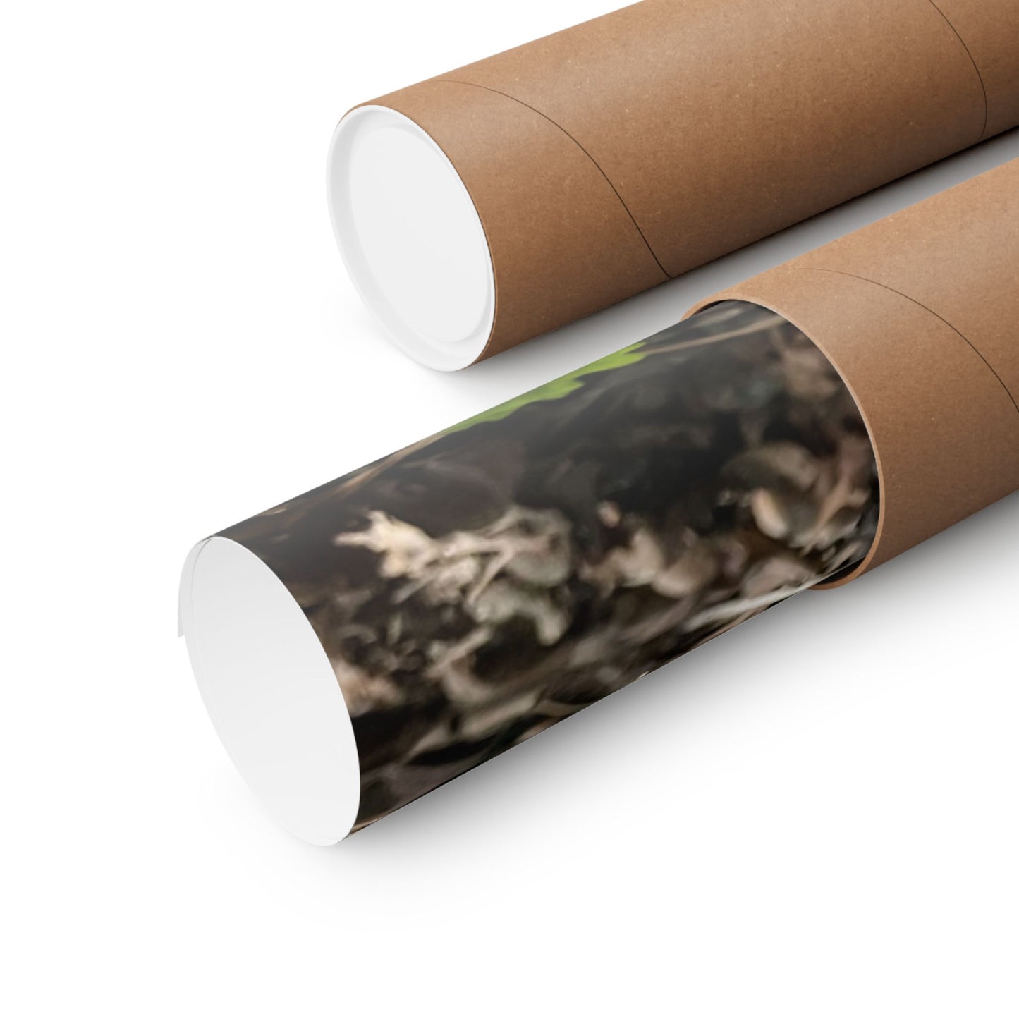 Chupacabra Hetty Matte Vertical Print