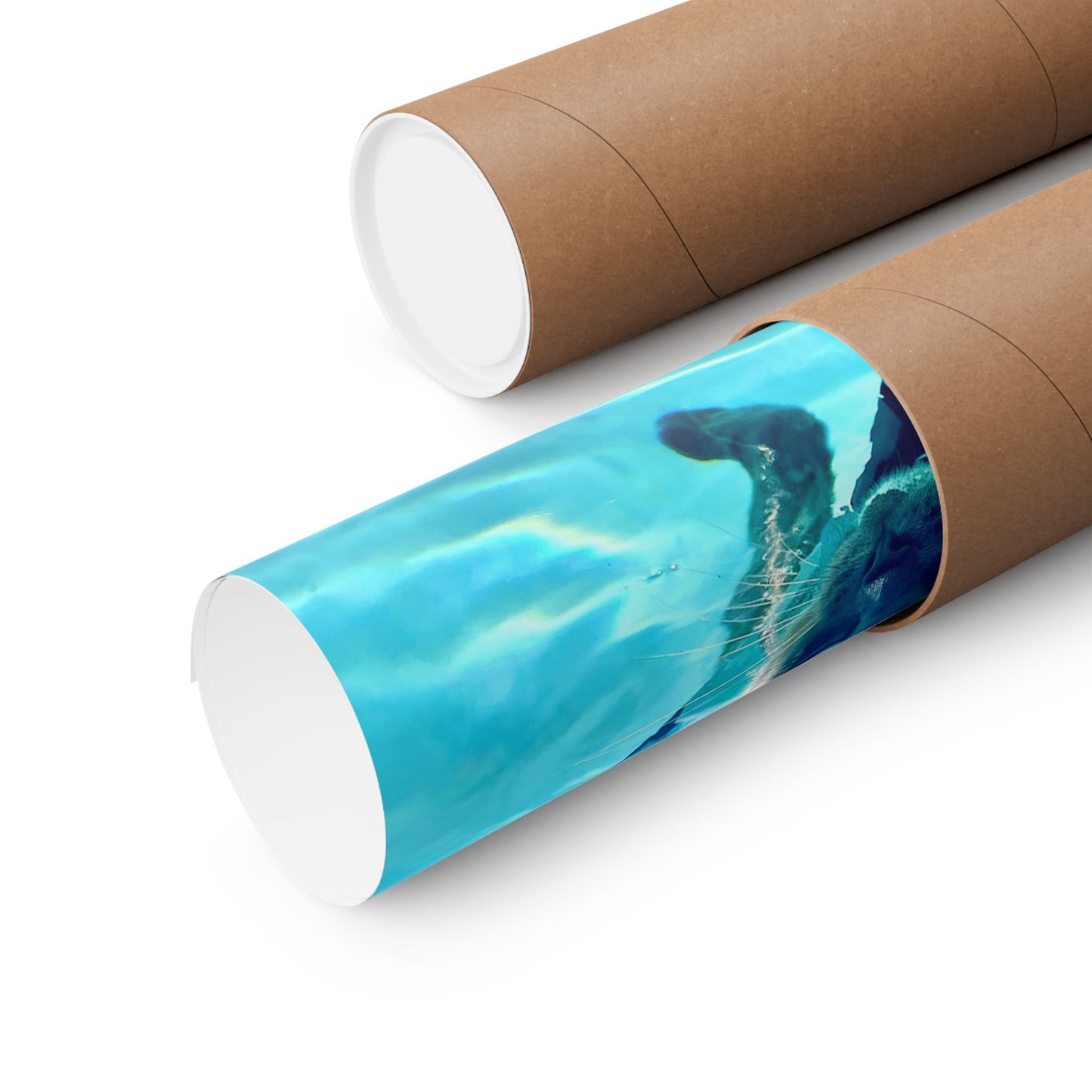 Sharkitty Matte Vertical Print