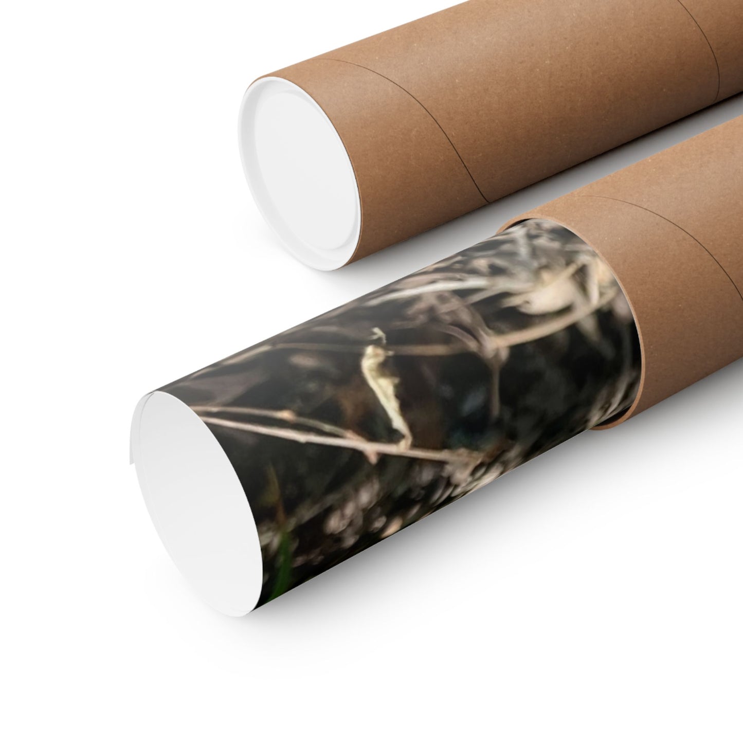 Chupacabra Hetty Matte Vertical Print