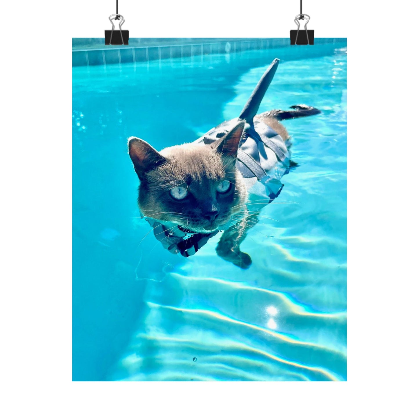 Sharkitty Matte Vertical Print