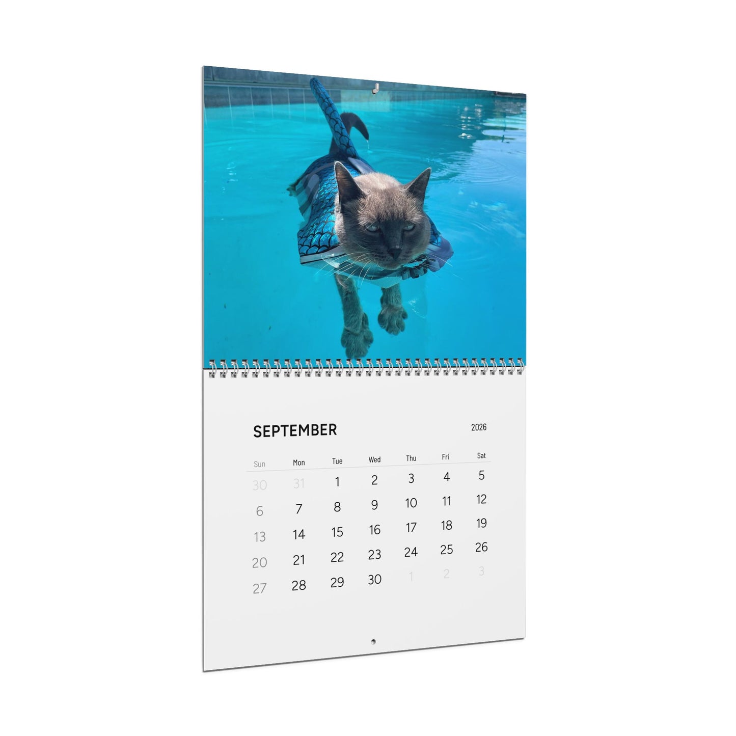Sharkitty 2026 Wall Calendar