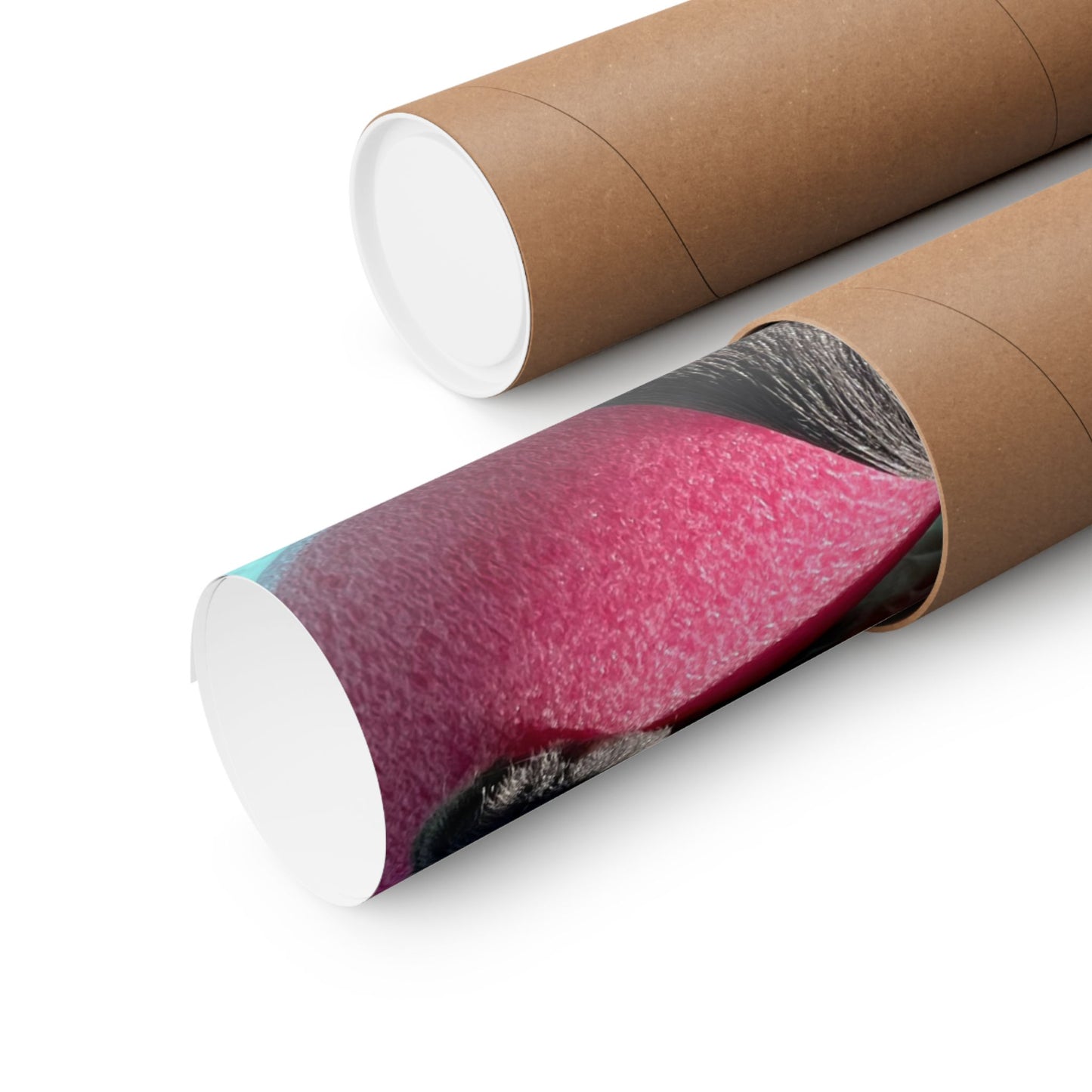 Sharkitty & Her Noodle Matte Vertical Print