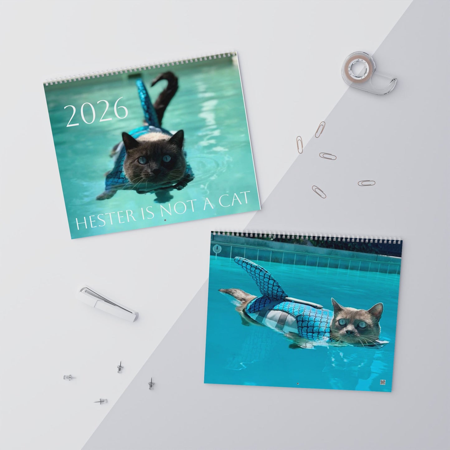 Sharkitty 2026 Wall Calendar