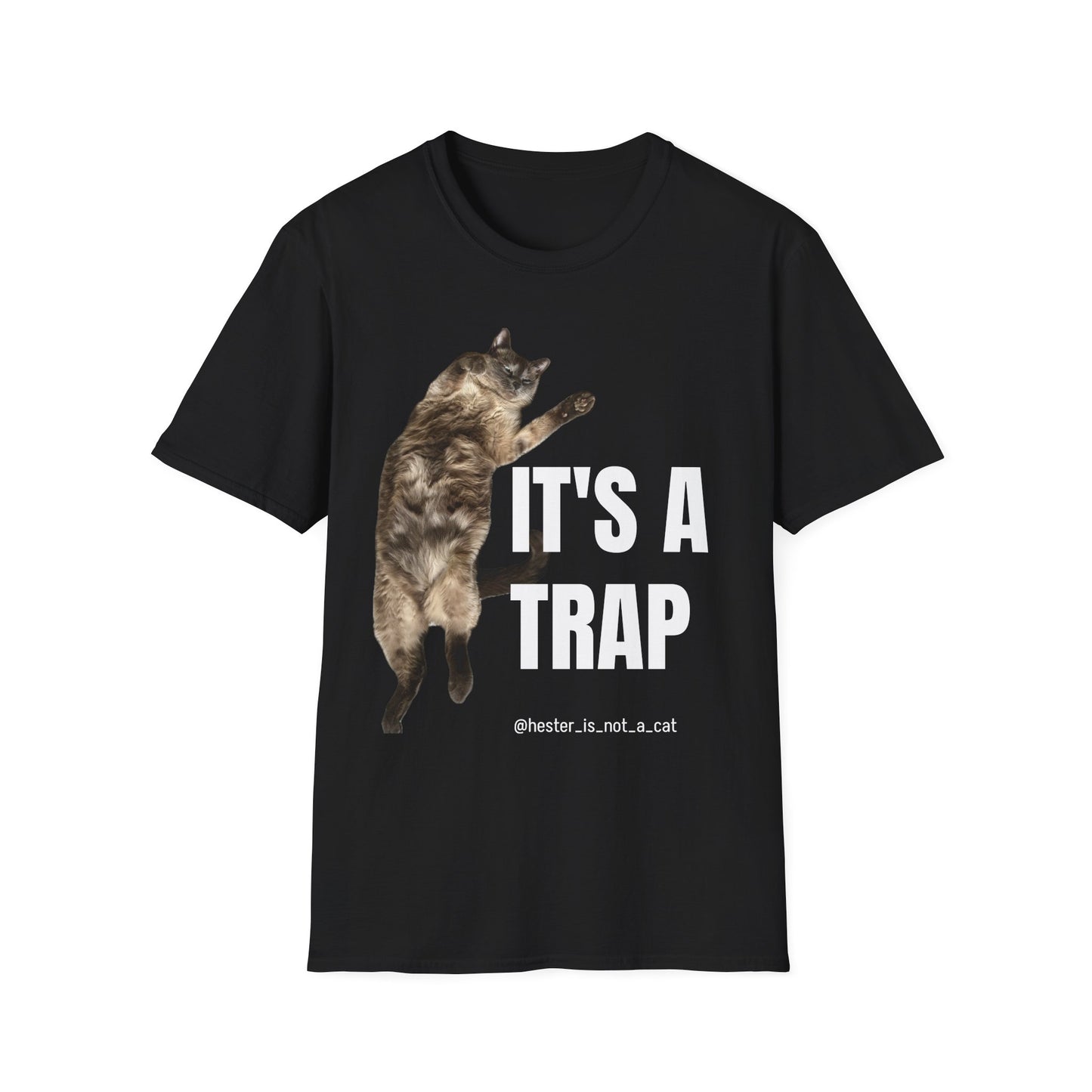 Hester’s Tummy is a Trap Graphic Tee