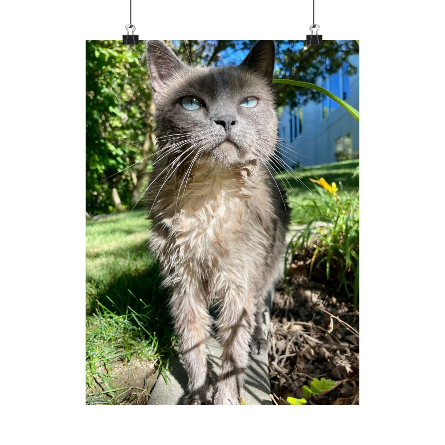 Chupacabra Hetty Matte Vertical Print