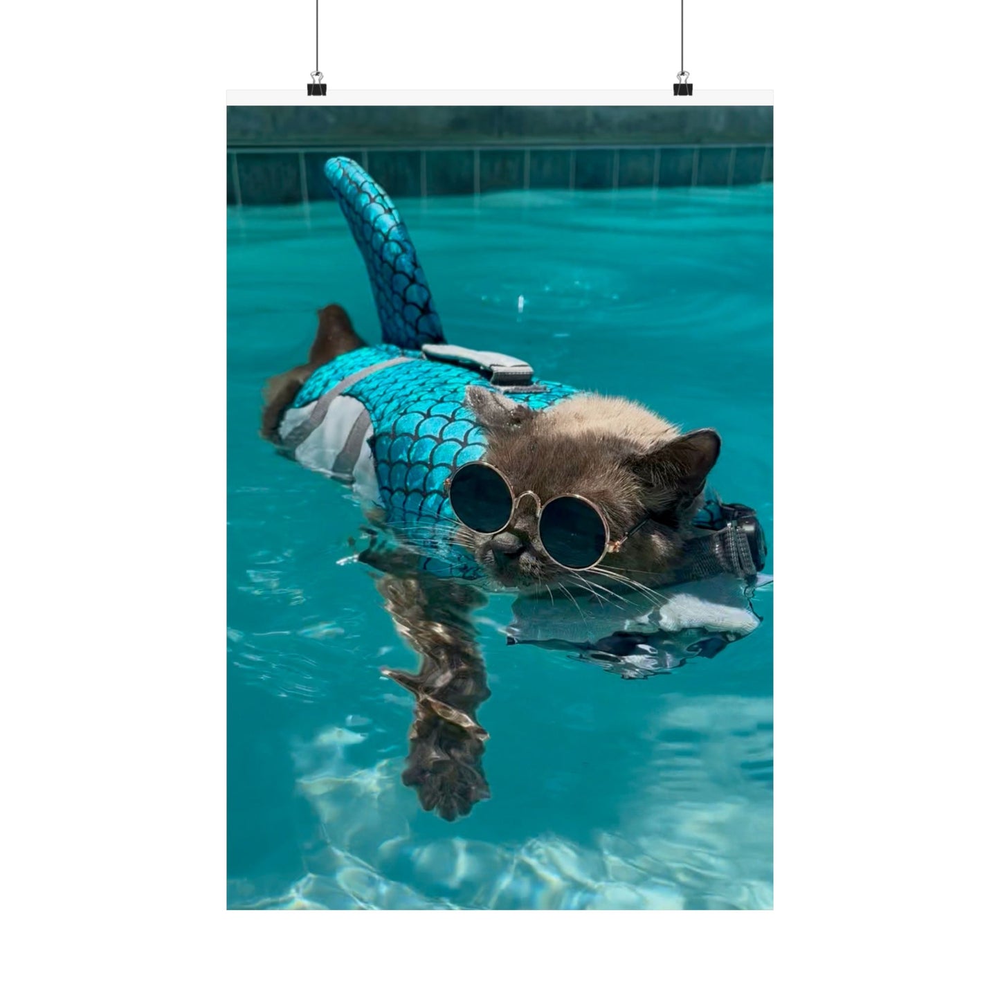 Cool Sharkitty Matte Vertical Print